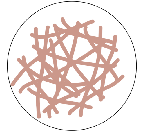 467DDC87-6027-4A5C-9091-2AE872340560.png