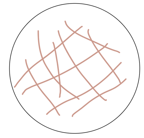 478BBB5B-E54F-4F7C-939D-0529A06DF2B8.png