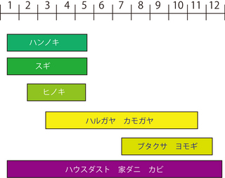 かび.jpg