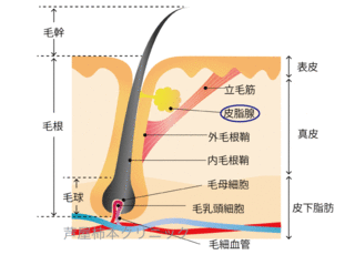 し3.gif