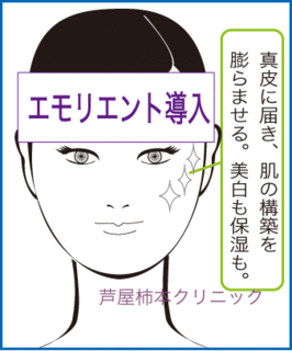 ぬいい.gif