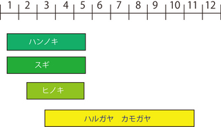 はるがや.jpg