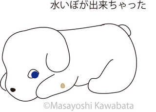 みずいぼ1.jpg