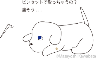 みずいぼ2.jpg