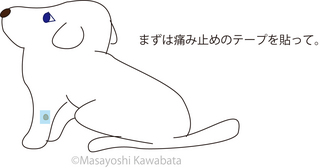 みずいぼ5.jpg