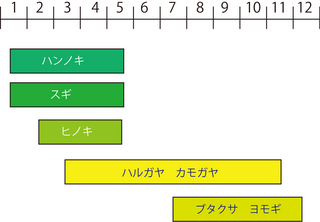 よもぎ.jpg