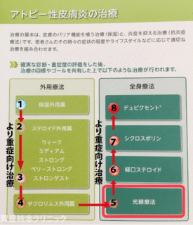 アトピー重症度治療2.gif