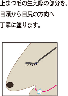 グラッシュ5.jpg