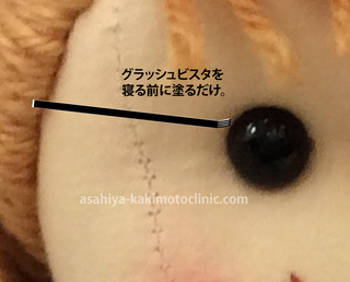 グラッシュビスタ1.jpg
