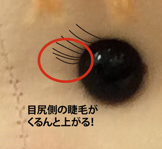 グラッシュビスタ1.jpg