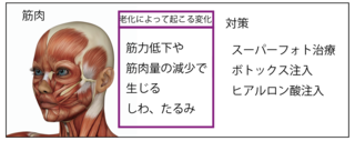 スクリーンショット 2019-10-03 11.44.20.png
