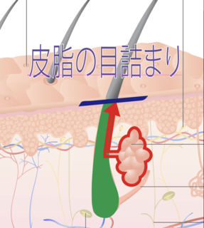 スクリーンショット 2019-12-14 8.47.24.png