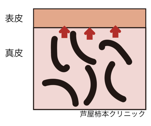 スクリーンショット 2020-08-29 9.12.14.png