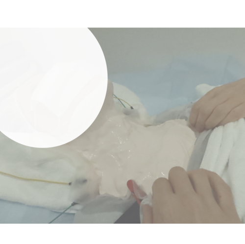 スクリーンショット 2020-10-20 18.31.08.png