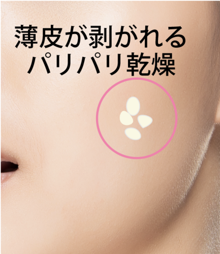 スクリーンショット 2020-10-24 10.53.30.png