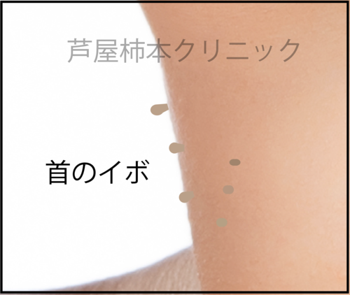 スクリーンショット 2020-11-13 12.08.24.png