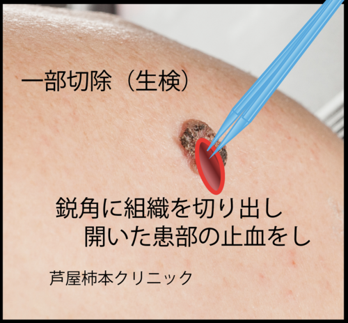 スクリーンショット 2021-02-04 18.16.36.png