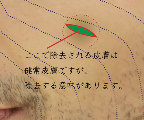 スクリーンショット 2021-07-02 11.43.49.png
