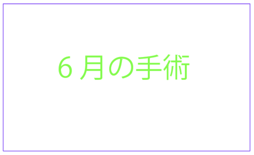 XN[Vbg 2024-06-18 15.33.07.png