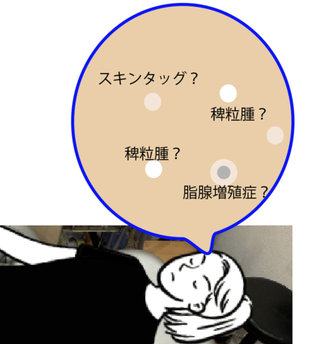 E382B9E382AFE383AAE383BCE383B3E382B7E383A7E38383E38388202024-11-292011.08.13-thumbnail2.png