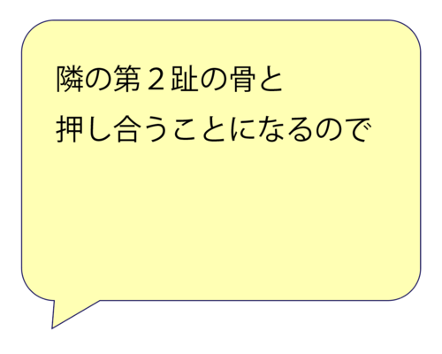 スクリーンショット 2025-03-07 13.53.49.png
