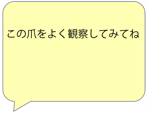 スクリーンショット 2025-03-07 15.56.48.png
