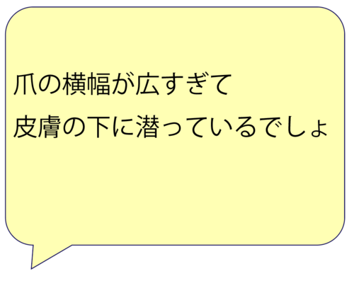 スクリーンショット 2025-03-07 15.58.47.png