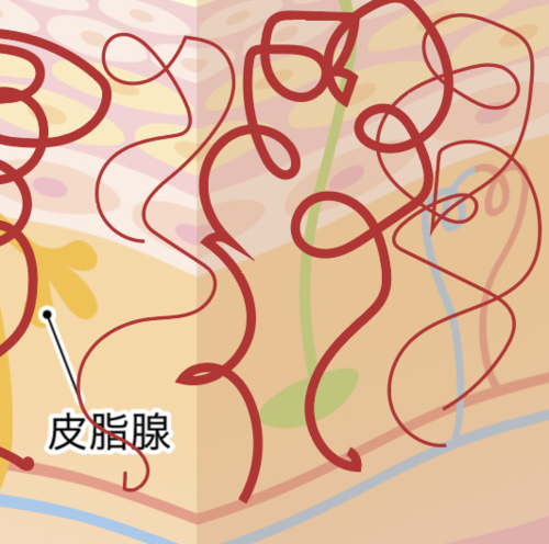 スクリーンショット 2025-05-22 17.03.49.png