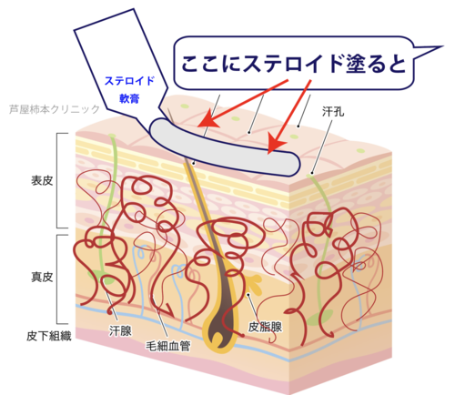 スクリーンショット 2025-05-22 17.16.11.png