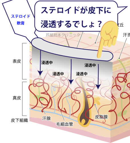 スクリーンショット 2025-05-22 17.27.55.png