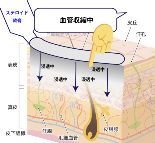 スクリーンショット 2025-05-22 17.39.44.png