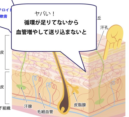 スクリーンショット 2025-05-22 17.57.15.png