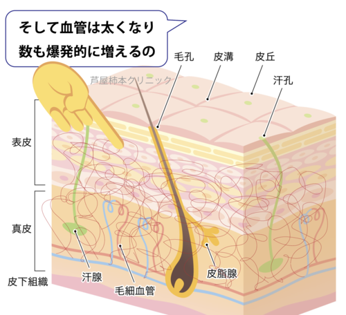 スクリーンショット 2025-05-22 18.00.26.png
