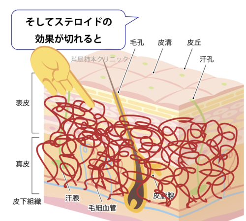 スクリーンショット 2025-05-22 18.01.42.png