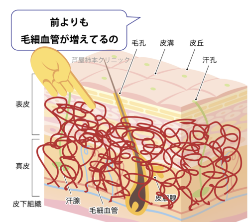 スクリーンショット 2025-05-22 18.02.09.png