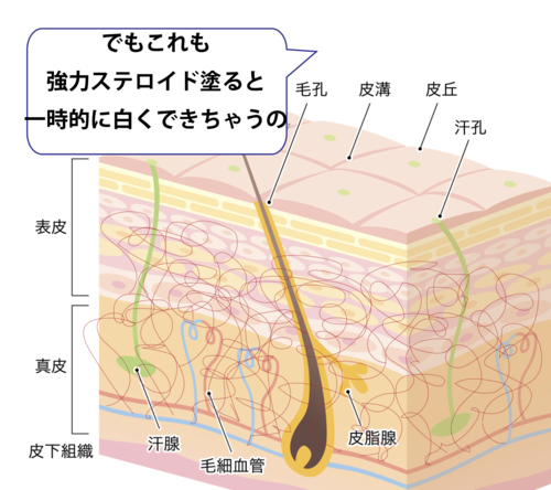 スクリーンショット 2025-05-22 18.03.43.png