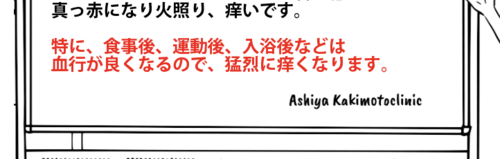 スクリーンショット 2025-05-22 18.27.11.png