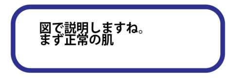 スクリーンショット 2025-05-22 19.02.15.png