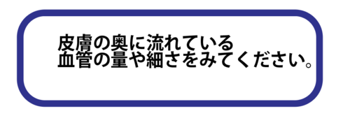 スクリーンショット 2025-05-22 19.04.16.png