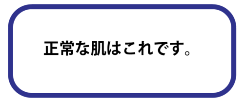 スクリーンショット 2025-05-23 17.22.26.png