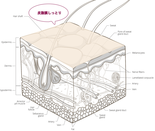 XN[Vbg 2025-06-27 16.03.28.png