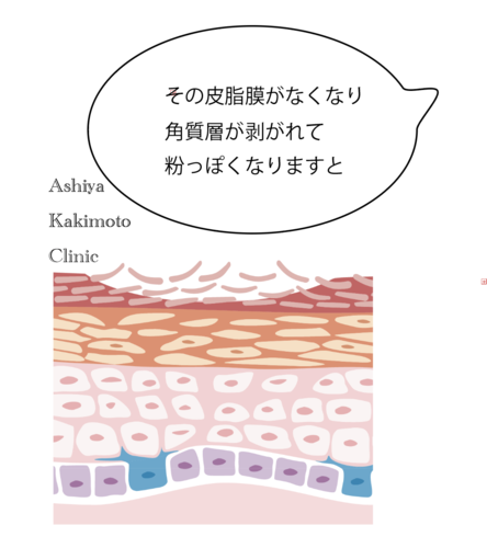 XN[Vbg 2025-06-27 16.19.35.png