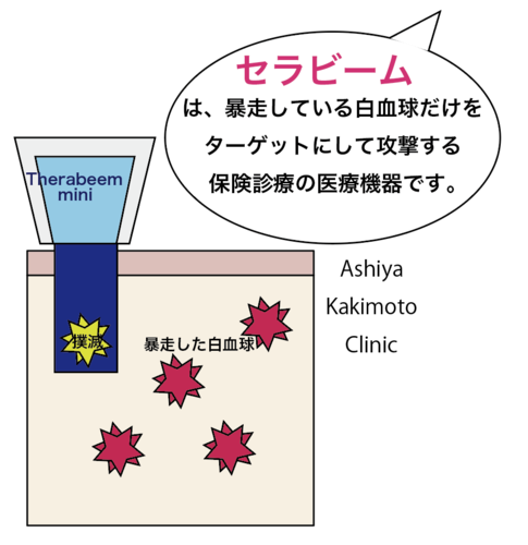 XN[Vbg 2025-06-30 16.04.21.png