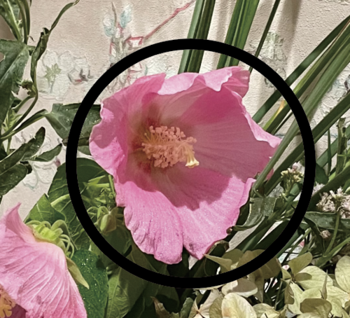 �X�N���[���V���b�g 2025-08-25 9.08.25.png