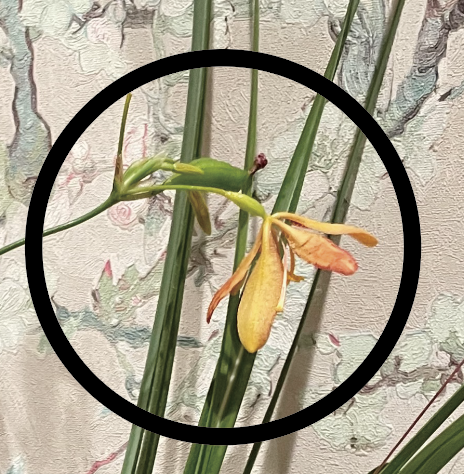 �X�N���[���V���b�g 2025-08-25 9.08.37.png