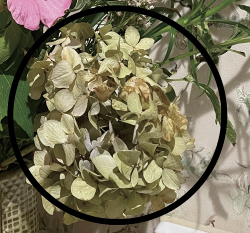 �X�N���[���V���b�g 2025-08-25 9.08.50.png