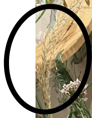 �X�N���[���V���b�g 2025-08-25 9.09.37.png