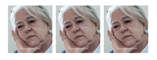 �X�N���[���V���b�g 2025-11-13 9.25.26.png