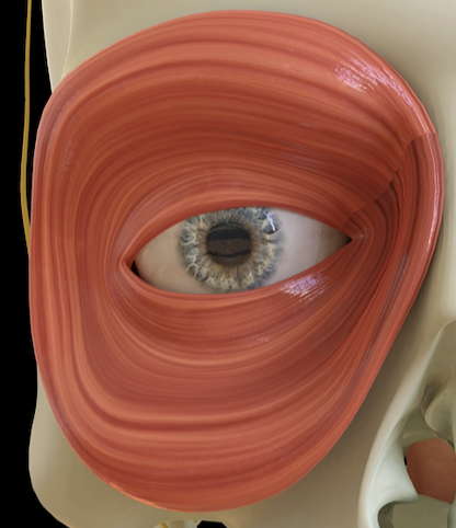 �X�N���[���V���b�g 2025-12-08 15.02.45.png