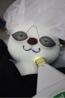 スターラックス.gif